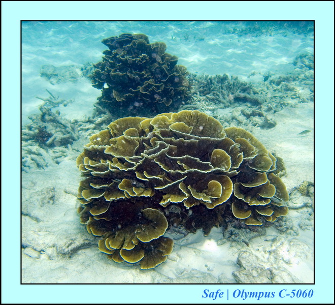 2008 - 07 - Redang - 014